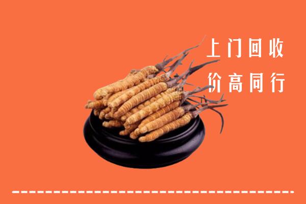 贵港市港北区回收散虫草