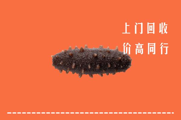 贵港市港北区回收海参