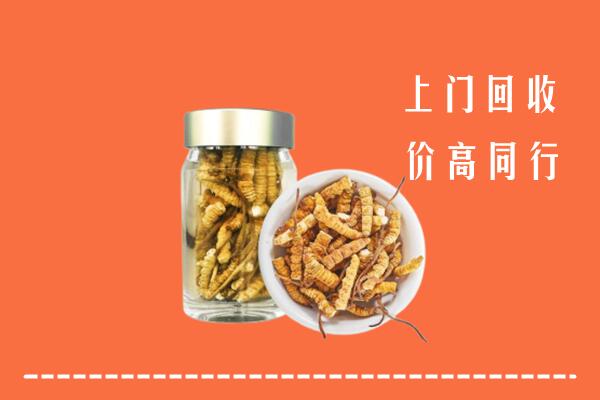 贵港市港北区回收冬虫夏草